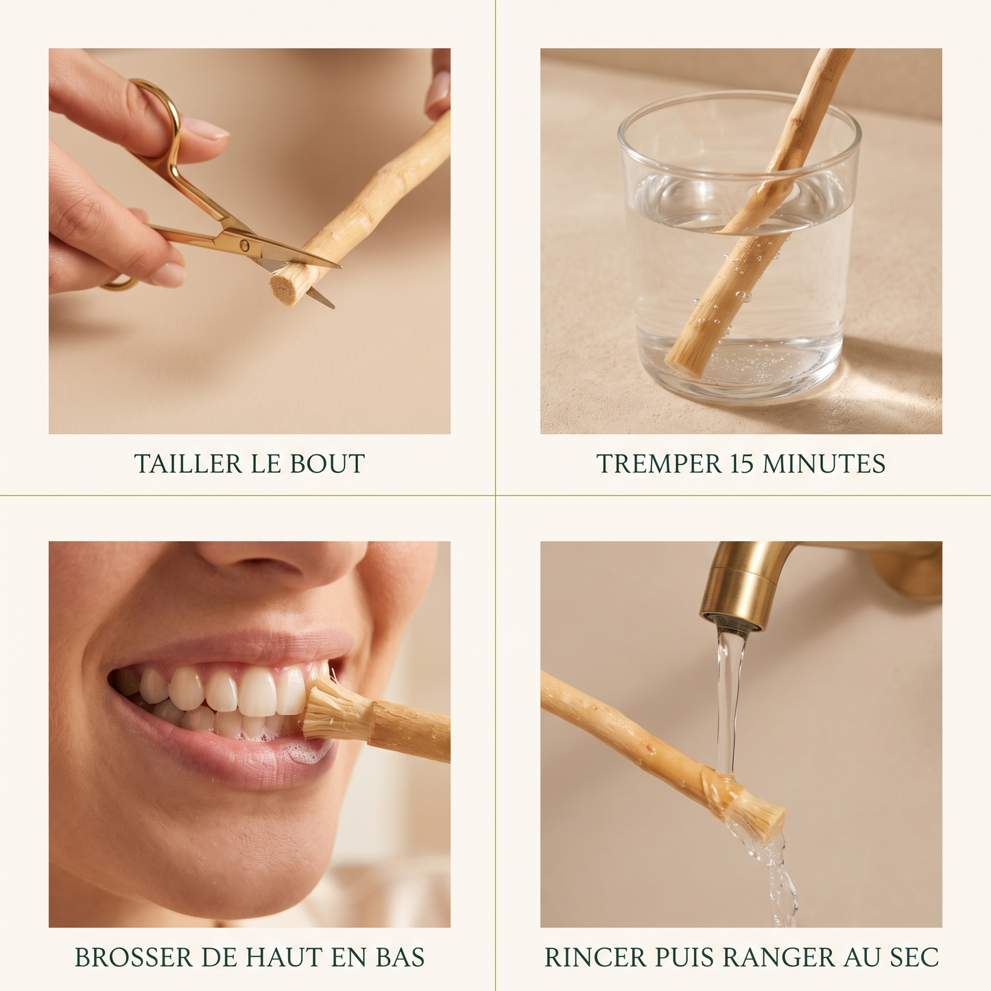 Bâton de siwak naturel - brosse à dent sans eau
