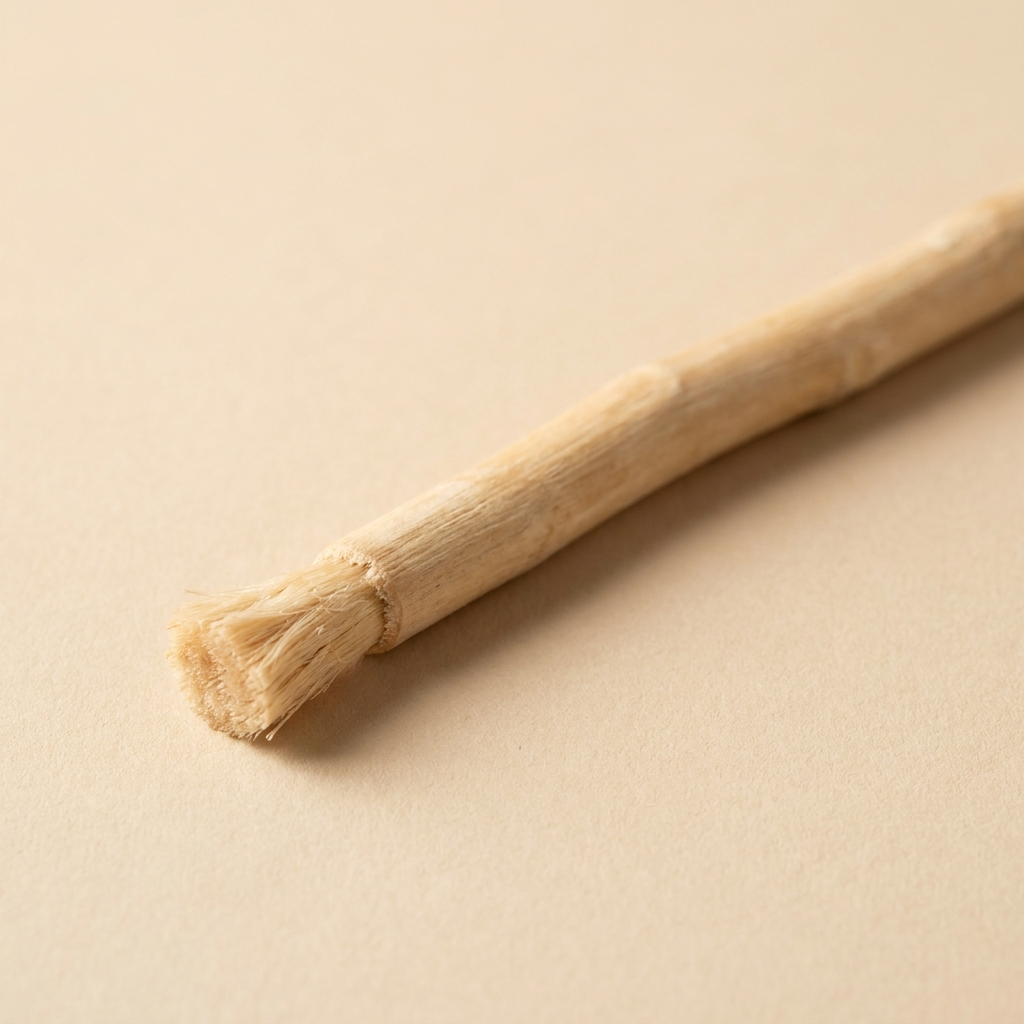Bâton de siwak naturel - brosse à dent sans eau