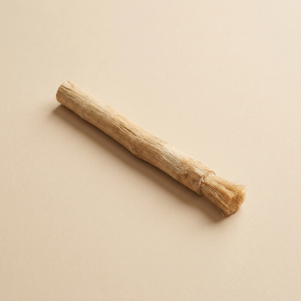 Bâton de siwak naturel - brosse à dent sans eau