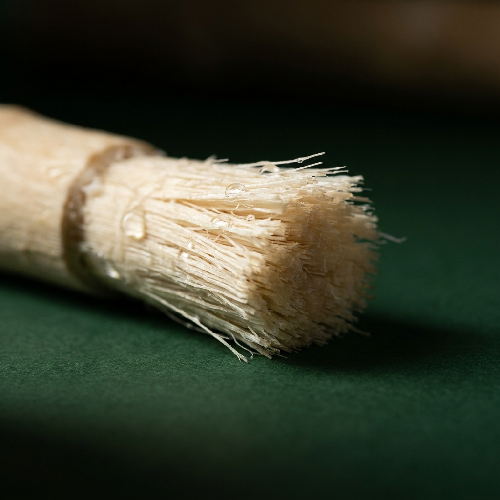 Bâton de siwak naturel - brosse à dent sans eau